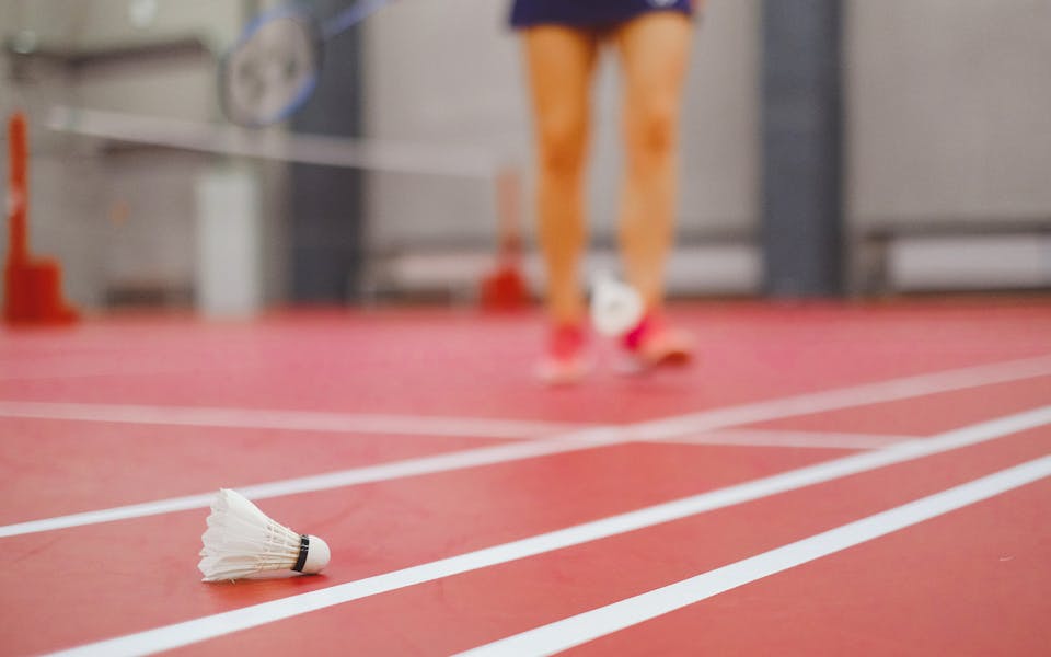 terrain de badminton